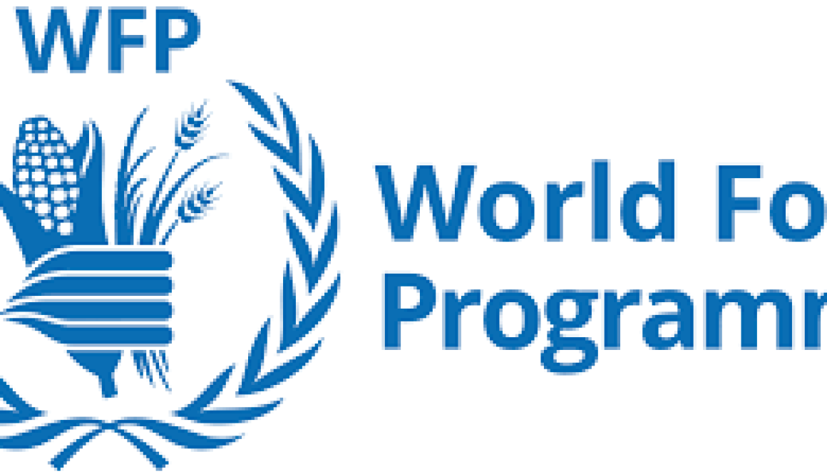 Business Transformation Officer P3 Vacancy-Job Ref: JKBIWFP/2508/202387